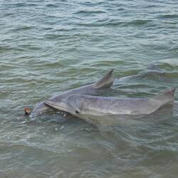 Immer gut balancieren... Ich hätte ihn schon längst fallen gelassen. 🙈