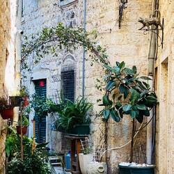 Überall gibt es Katzen die das Nichtstun in vollen Zügen geniessen