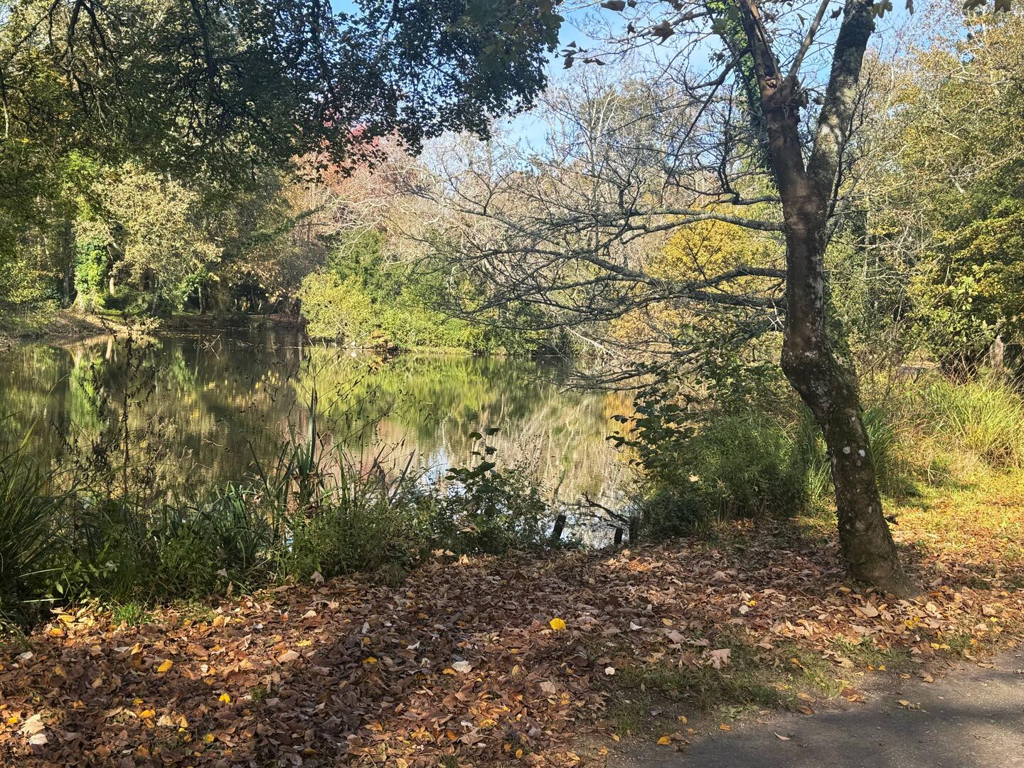 Fall in France