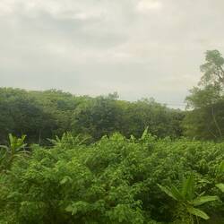 Es het viu Risfäuder gha- aber kes Foti drvo 😂