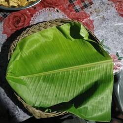 Teller mit Palmblatt