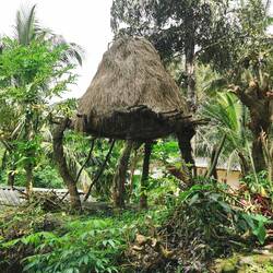 Trocknen von Stroh für die Kühe