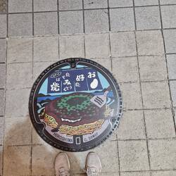 Mer gfendt in Japan i jedere Stadt anderi Toledeckle