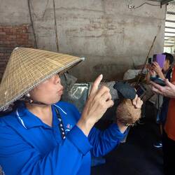 Comparing a fired coconut shell with a fresh one