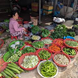 Market vegetables