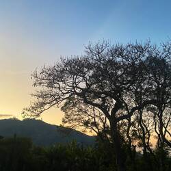 Ruhe vor dem Sturm. Der letzte Abend in Litembo