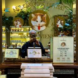 Cat's tongue cookies ... plain or chocolate-covered ... Demel — Vienna, Austria.
