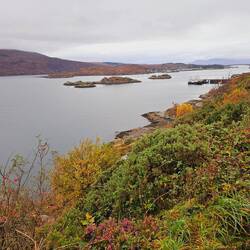 Skye bridge au fond, bruyère en fleur sur le Mainland, et l'île de Skye en face