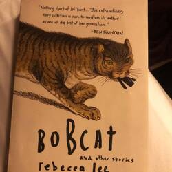 Brilliant short stories, couldn't put it down til I was done!