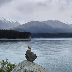 Lake Taupo