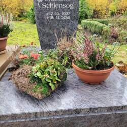 Friedhof