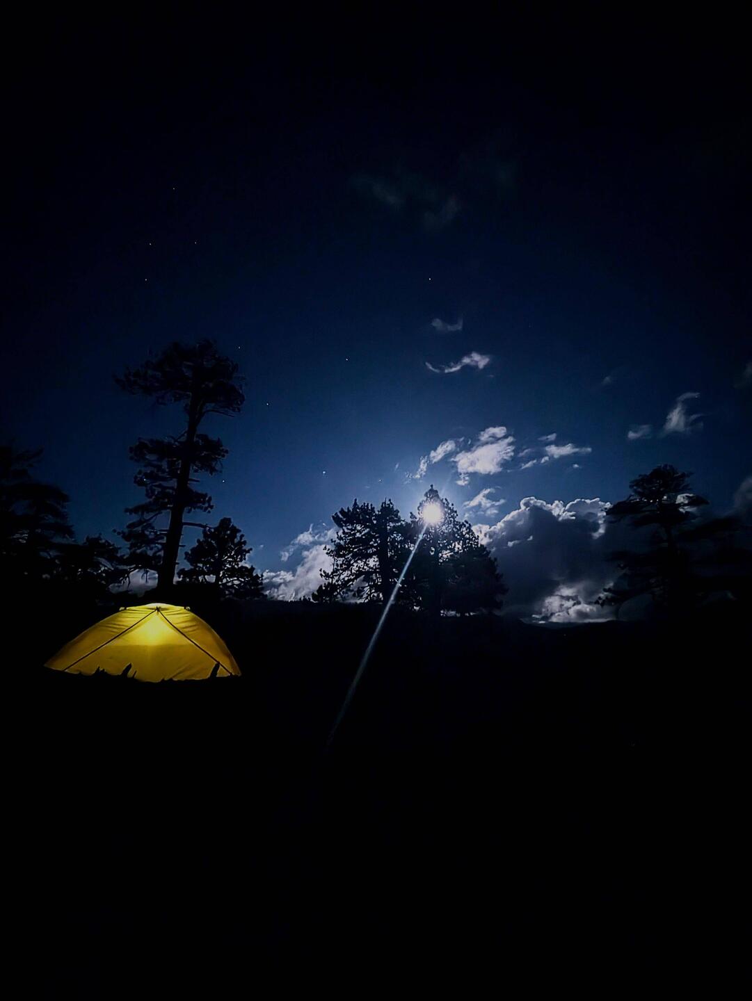 Vollmondnacht mit Sicht auf den Half Dome.