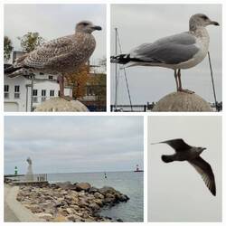 Warnemünde
