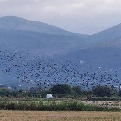 Ein echtes Naturparadies.