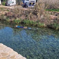 Glasklares, fischreiches Wasser.