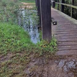 Das Wasser steht ganz schön hoch. Es berührt fast die Brücke.