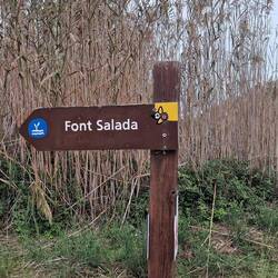 Nein, hier gibt es keinen Schriften-Salat. 😄