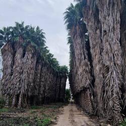 Ganz am Ende steht ein Haus.