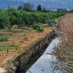 Die Nachbarn leben auch nicht schlecht.