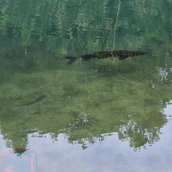 ... und jede Menge Vogelfutter. 😆