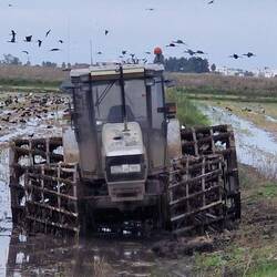 Erst dachte ich, der wäre ausrangiert.