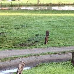 So sieht der abgesoffene Stellplatz aus