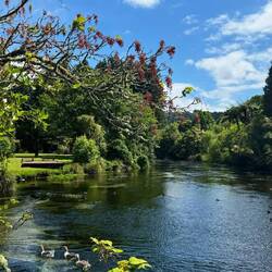 Hamurana Springs Nature Park