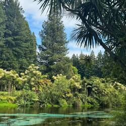 Hamurana Springs Nature Park