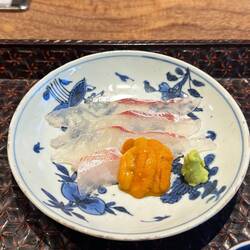 In orange wieder roher Seeigel