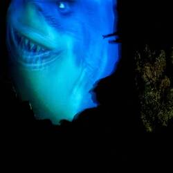 Finding Nemo