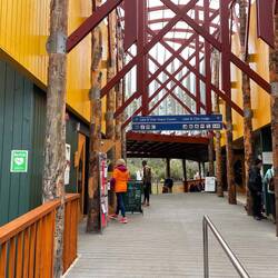 Lake St Clair visitor centre - lots of hard core hikers hang out here