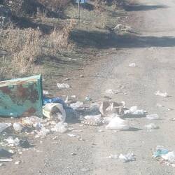 200m von unserem Stellplatz. Bären Buffet in der Nacht