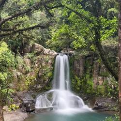 Waiau Falls