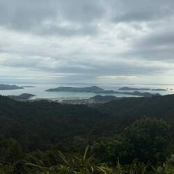 "Kaipawa Trig Track" Start