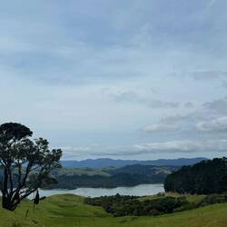 Manaia Road Saddle and Lookout