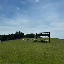 Manaia Road Saddle and Lookout