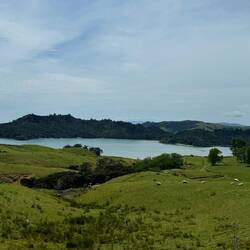 Manaia Road Saddle and Lookout