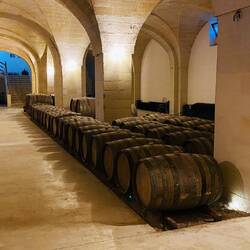 Rotwein in französischen Fässern