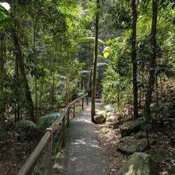 ...zu der Natural Bridge