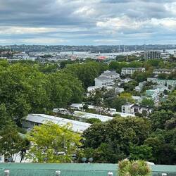 Auckland mit Brücke