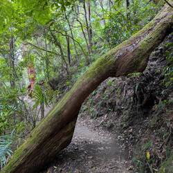 Langsam und mit wenig Stufen bergauf