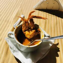 Suppe mit ganzem Krebs