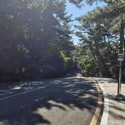 Der Weg zum Leuchtturm