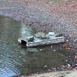 Don't know what these are for? Anyone??