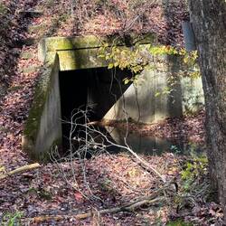 Trail goes over or under... we went over