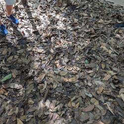 And then he was gone!