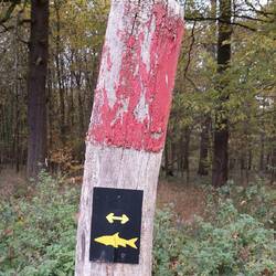 Der gelbe Fisch ist das Symbol der Aggerauen-Tour!