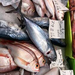 Fish market, prices were so good, I could have bought lots, but ended up buying only "bottarga"