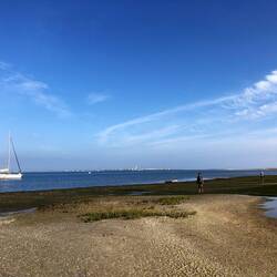 Went over to the guys who were digging for palourdes .