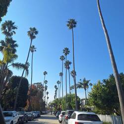 Die Straßen von Santa Monica